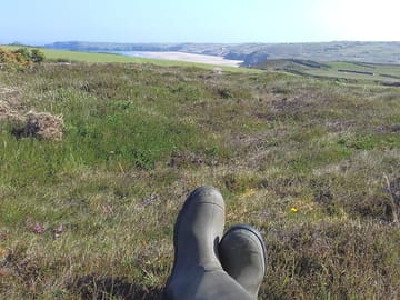Relaxing in the wild area