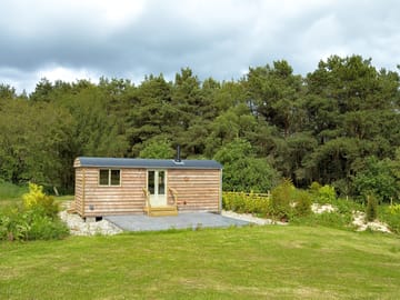Shepherd's hut on a pitch sheltered by trees