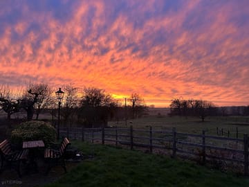 The view