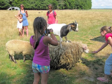 Pet the farm animals