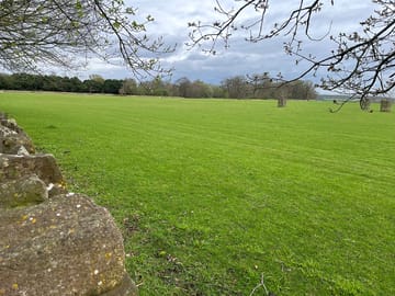 Plenty of space on the field