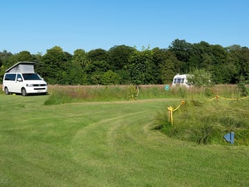 View of the site