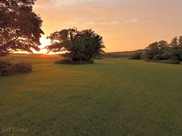 Sunset in a larger field