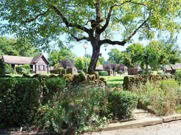 View of the site