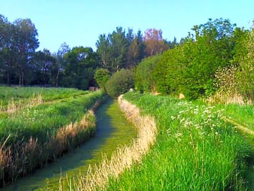 The riverbank