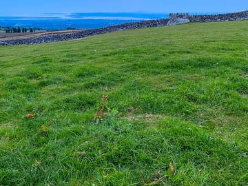 Camping field