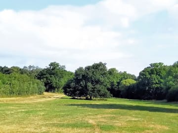 The site on a summer's day
