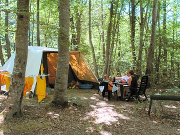 Caravan pitch in the forest