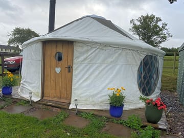 Cute glamping yurt