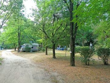 Shaded site