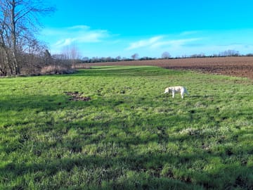 Lots of open space