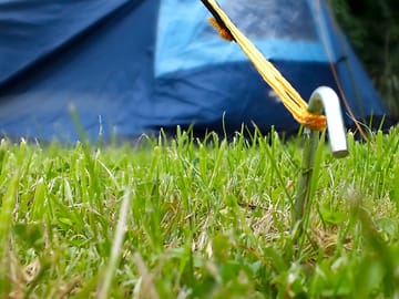Grass pitches
