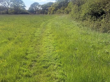 Pitches along the cut path