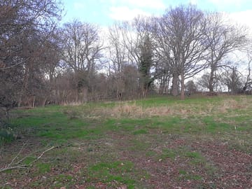 The site in march