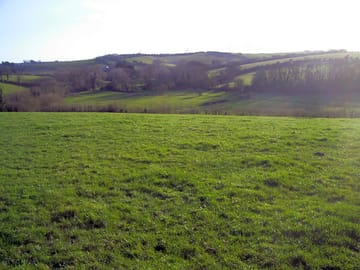 Camp site
