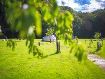 Camping area