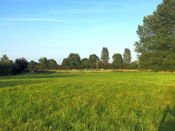 Around the site