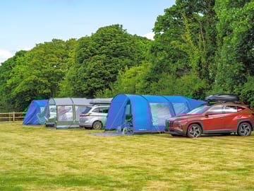 Large electric grass tent pitch