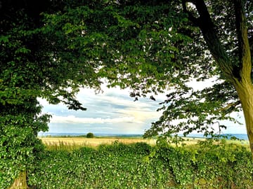Around the site