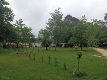 View of the pitches