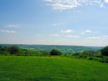 View from camping field over Hartridge Common