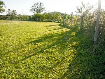 The camping field