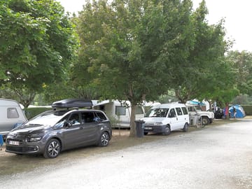 Pitches among the trees