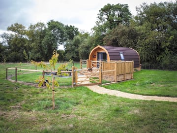 A view of bumblebee glamping pod at rutland rural retreats