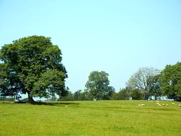 Around the site