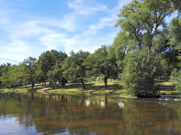 The campsite's environment