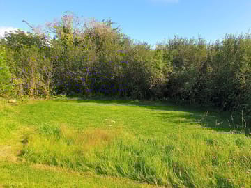 Grass and gravel tent pitch