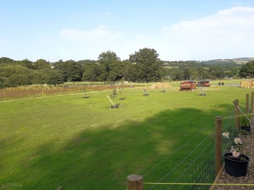 Smallholding fields