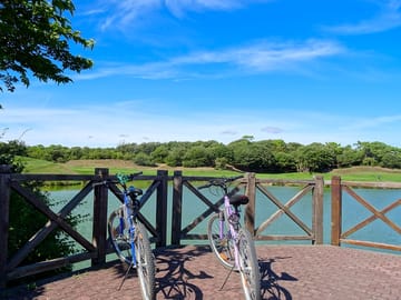 On the edge of bike paths