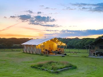 The site at dusk