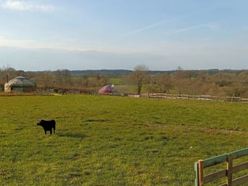 Yurts
