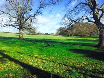The field