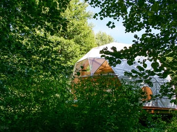 Dome among the trees
