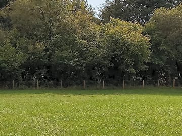 Field