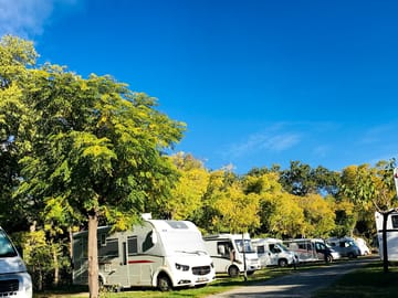 Pitch under the trees