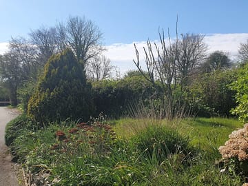 Looking around the gardens