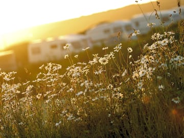 Caravan field