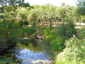 River
