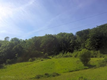 Woodland for you all to enjoy