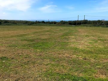 Grass field