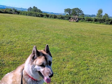Dog-friendly site with a walk around the site