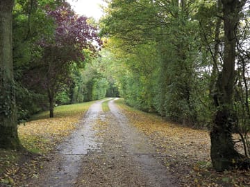 The driveway leading to the caravan site.