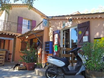 Reception and small grocery store