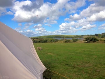 Spacious pitches