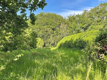 Plenty of greenery