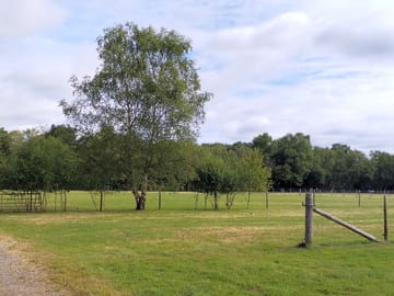 More green space for you to choose for your tent.